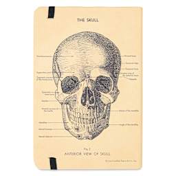 Cavallini Skull Small Notebook, back of notebook