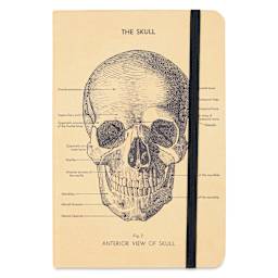 Cavallini Skull Small Notebook, front of notebook