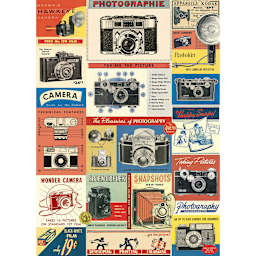 Cavallini Vintage Cameras Printed Paper