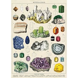 Cavallini Mineralogy Gift Wrap