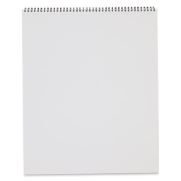 Bee Paper Co-Mo Sketch Pad - 14" x 17", 30 Sheets