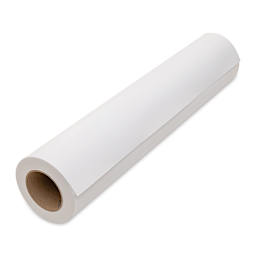 Canson Infinity PhotoSatin Art Paper - 24" x 100 ft, Premium Resin Coated, Roll