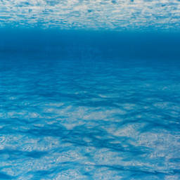 Fadeless Design Roll - Under Sea