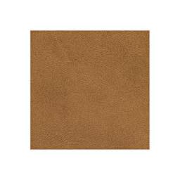 Specialty Book Covering - Swatch of Tan Faux leather to show color and texture