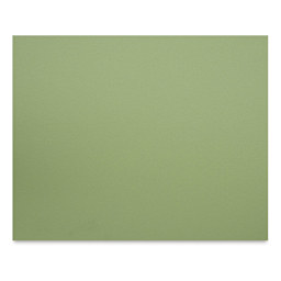 Canson Mi-Tientes Board - 16" x 20", Light Green, Sheet