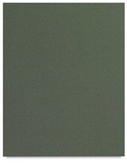 Canson Mi-Teintes Board - Ivy sheet shown