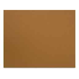 Canson Mi-Tientes Board - 16" x 20", Bisque, Sheet