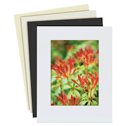 Lineco Conservation Matboard