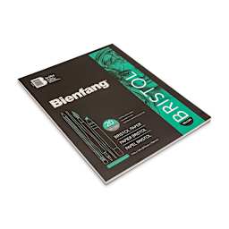 Bienfang Bristol Pad - 11" x 14", Vellum, 20 Sheets, laid flat