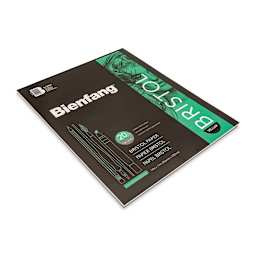 Bienfang Bristol Pad - 14" x 17", Vellum, 20 Sheets, laid flat