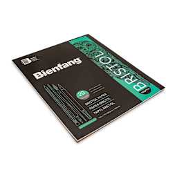 Bienfang Bristol Pad - 14" x 17", Smooth, 20 Sheets, laid flat