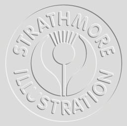 Strathmore Illustration Board 500 Series, Plate Surface, 20 in x 30 in, Heavy