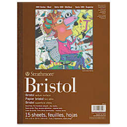 Strathmore Bristol Pad - 9" x 12", Vellum, front cover
