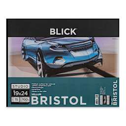 Blick Bristol Pad - 19" x 24", Vellum, 15 Sheets