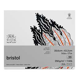 Winsor & Newton Bristol Paper Pad - 14" x 17", 20 Sheets