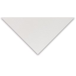 Blick Illustration Board - 20" x 30", 14-Ply, White