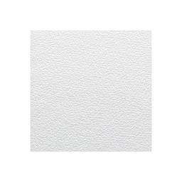 Canson Edition Art Board - Single sheet shown
