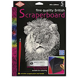 Essdee Scraperboard - Pkg of 5, 9" x 12", White, Un-Inked - front of packaging