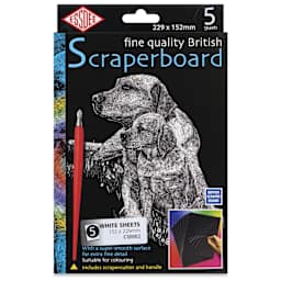 Essdee Scraperboard - Pkg of 5, 6" x 9", White, Un-Inked - front of packaging