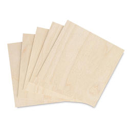 Birch Panel Pack - 8" x 8" x 1/8", Pkg of 5