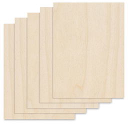 Birch Panel Pack - 9" x 12" x 1/8", Pkg of 5
