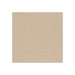 Strathmore 400 Series Recycled Toned Sketch Pad, Warm Tan (Example)