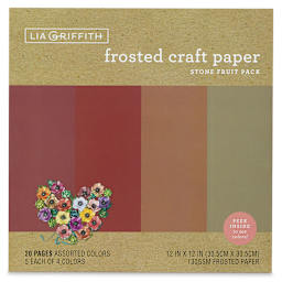 Frosted Craft Paper - Front of package of 20 sheets Stone Fruit color paper