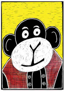 Sunshine Monkey, Step-by-Step Project Kit