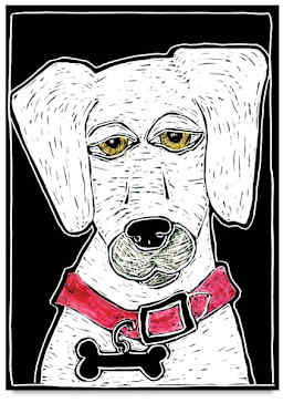 Zoey Dog, Step-by-Step Project Kit