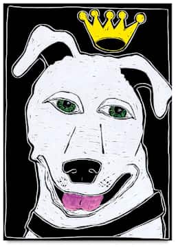 Bertie Dog, Step-by-Step Project Kit