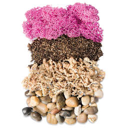 DIY Terrarium Jar Kits - Components of Portland Terrarium laid out in rows