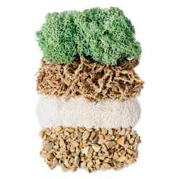 SuperMoss DIY Terrarium Jar Kit - Laguna, kit contents