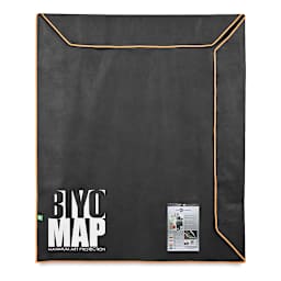 Star Products Biyomap Art Protection Cases