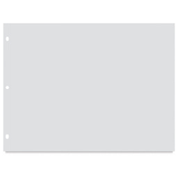 Pina Zangaro Pro-Archive Sheet Protectors