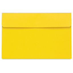 Star Products Student Art Folio - Yellow, 12'' x 18''