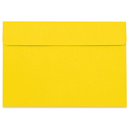 Star Products Student Art Folio - Yellow, 14'' x 20''