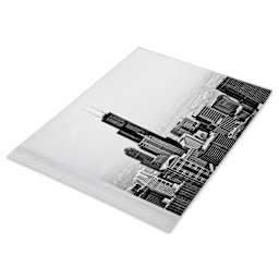 Blick Archival Bag Pack - 22" x 30", Pkg of 25, single bag with picture (not included)