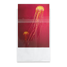 Lineco Photo Art Bag Pack - 5" x 7", Pkg of 50, print inside one bag (not included)