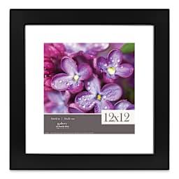 Nielsen Bainbridge Gallery Solutions Glass Float Frames