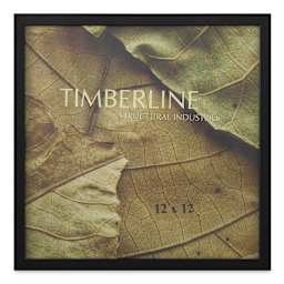 Structural Industries Gallery Wood Art/Photo Frames