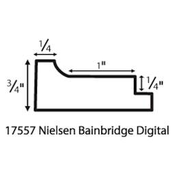 Nielsen Bainbridge Gallery Solutions Digital Format Frames - Diagram showing profile dimensions