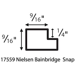 Nielsen Bainbridge Snap Digital Format Frames