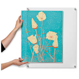 Wexel Art Single Panel Acrylic Display Frame - 19" x 23", with silver hardware