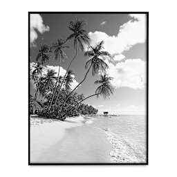 MCS Large Format Matte Poster Frame - 22" x 28" with example photo (not included)