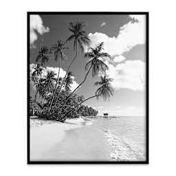 MCS Large Format Matte Poster Frame - 16" x 20" x 5/32", Black with photo inserted (not included)