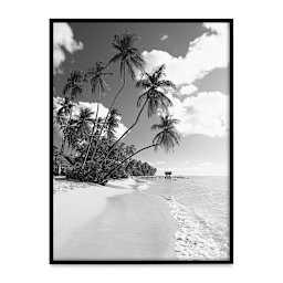 MCS Large Format Matte Poster Frame - 18" x 24" x 5/32" with photo inserted (not included)