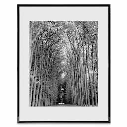 MCS Float Frame - Black, 11" x 14"