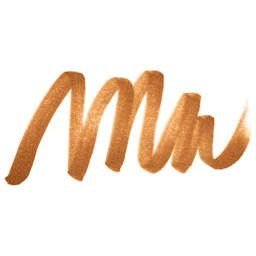 ShinHan Touch Twin Brush Marker - Burnt Orange swatch