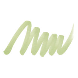 ShinHan Touch Twin Brush Marker - Willow Green swatch