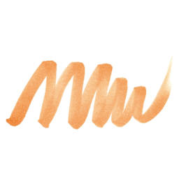 ShinHan Touch Twin Brush Marker - Brown swatch